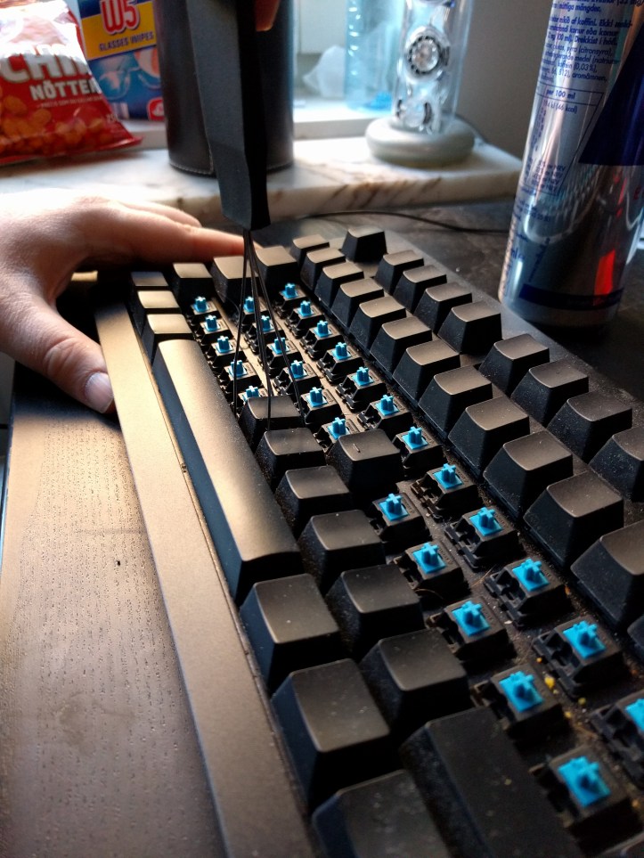 2016-03-12 08.46.59-2