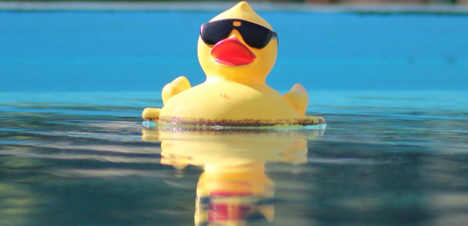 Rubber ducky floating in a pool