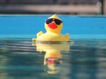 Rubber ducky floating in a pool